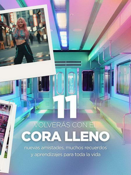 11 Razones Por Las Que Ir Al Campamento De Seul